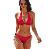 Phly Embassy Ladies Sexy V-Neck Bikini Swimsuit