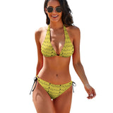 Phly Embassy Ladies Sexy V-Neck Bikini Swimsuit