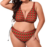 Phly Embassy Plus size bikini swimsuit