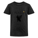 Phly Embassy Kids' Premium T-Shirt - charcoal grey